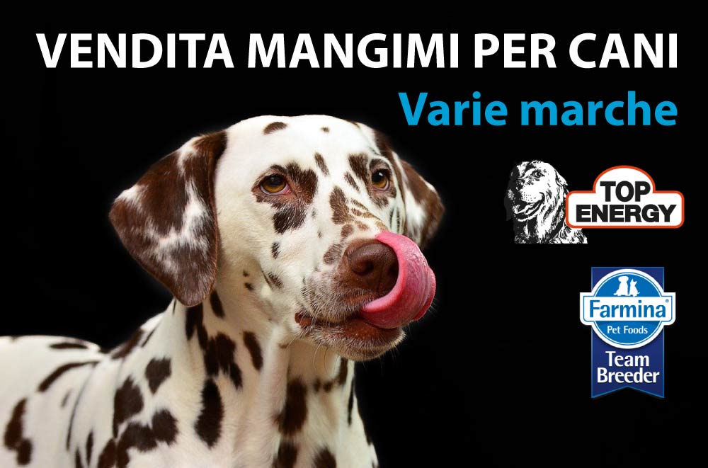 Mangimi-per-cani--emporio-del-golfo-porto-torres-sassari-Top-Energie--Top-Farmina--cani