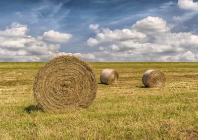 attrezzature-agricole-allevamento-e-giardinaggio--emporio-del-golfo-sardegna-sassari